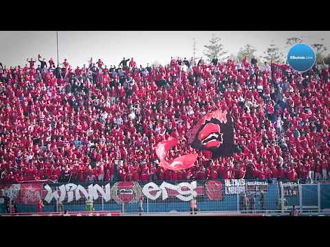 شاهد جماهير الوداد البيضاوي تشعل مدرجات ملعب الأب جيكو