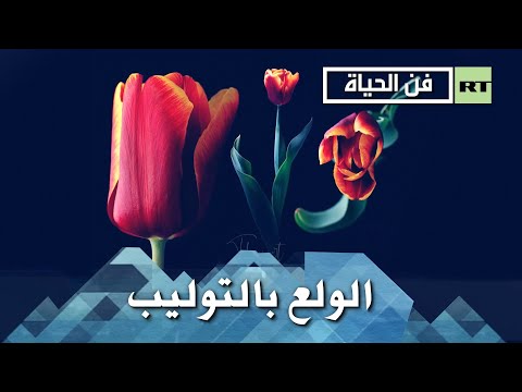 شاهد الولع بـالتوليب يُبرز اهتمام الناس بالأزهار التي لا تطول فترة إزهارها كثيرًا